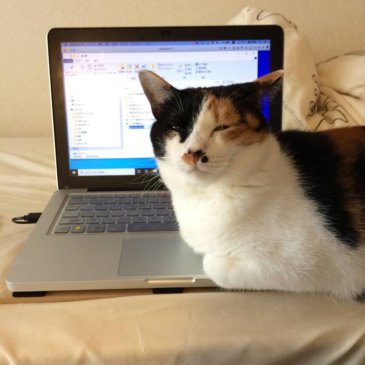 A328d183 b7f8 489e 9e39 c07e7cbe925e 1572044306911