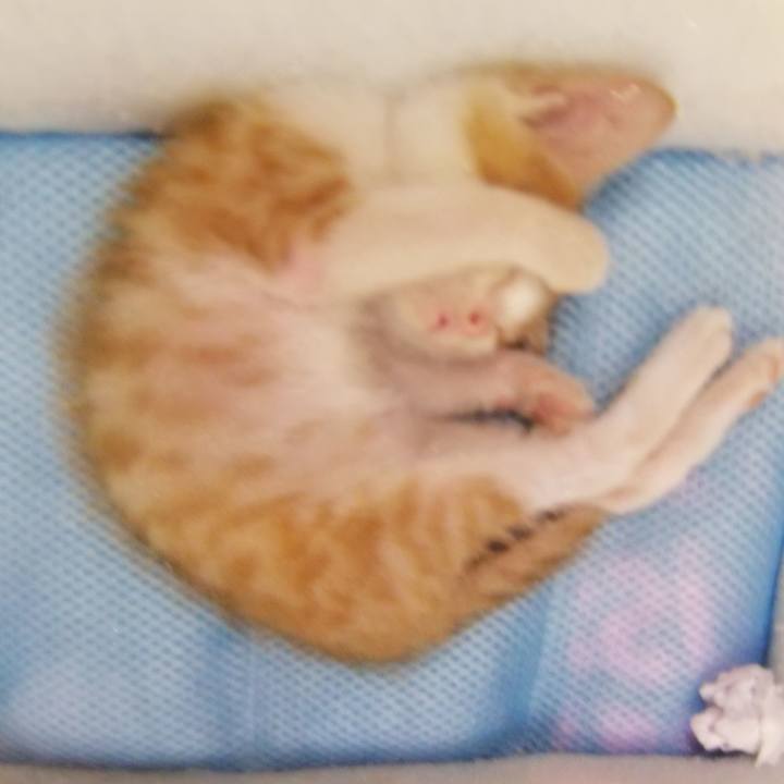 A3294e65 2c41 4e38 ae3a 5af550ed6cdb 1540460474229