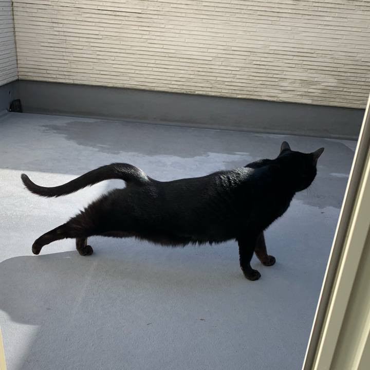 A3294e7c 2448 42d7 a705 f2e2d6327bce 1579398812353