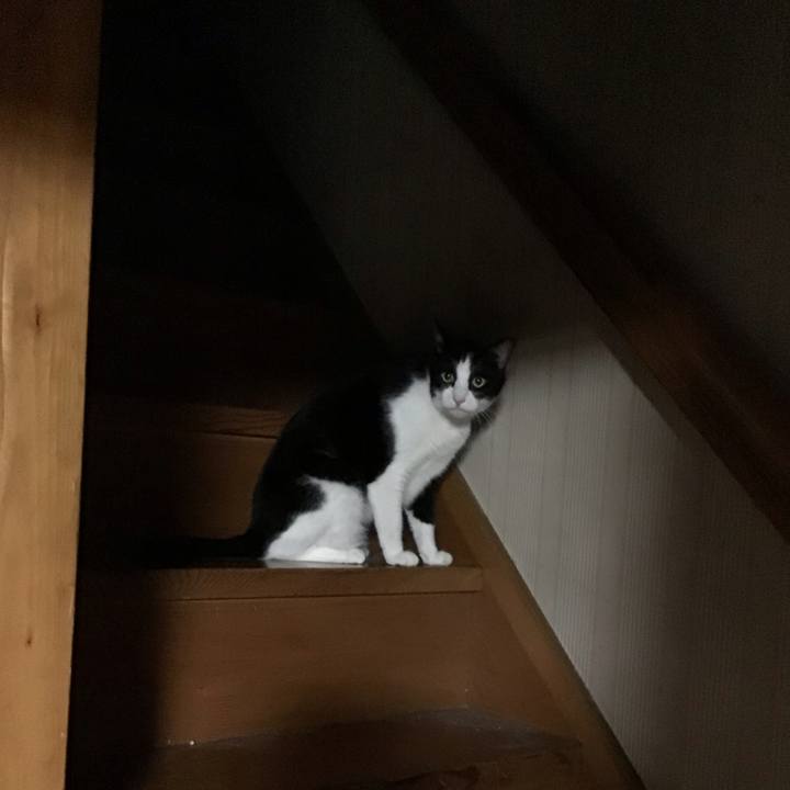 A329a055 6a3d 4fe1 b502 5784e8ecb1f4 1758278924845