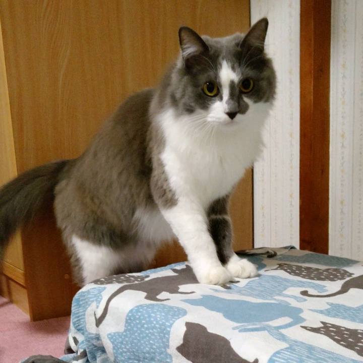 A329ffa4 933b 4529 b0af 41171ea1af5f 1608288224268