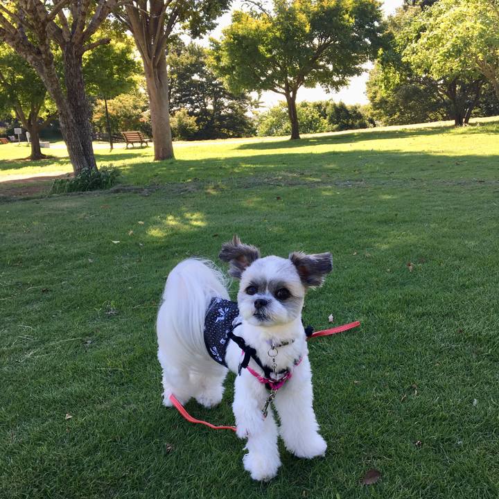 A32a3469 46a1 4ac9 b687 ccb33517e2e8 1534462196707