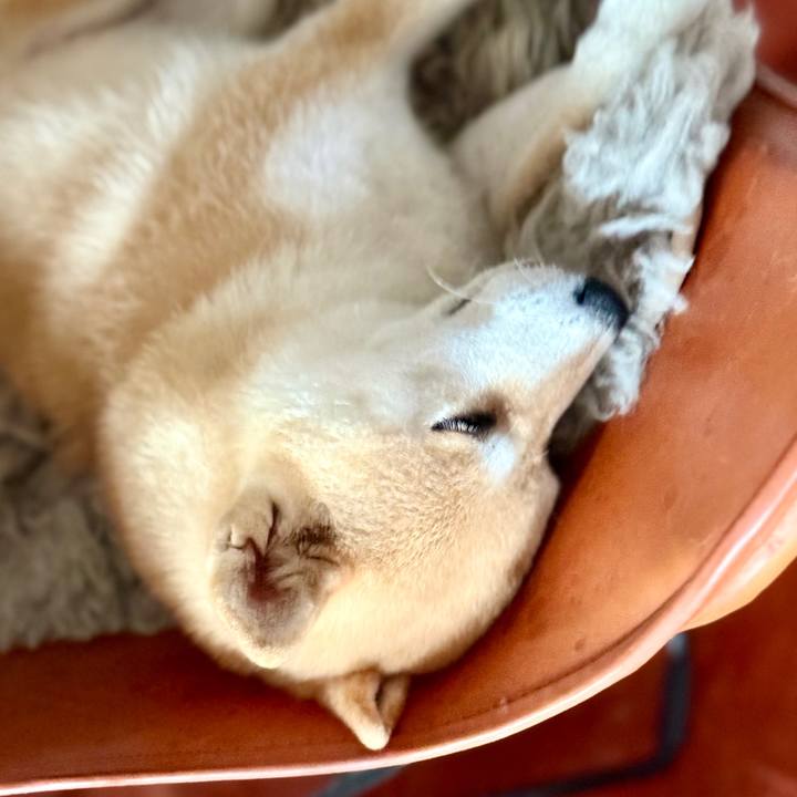 A32a80de b9c8 4c7e 9457 7d94e5059523 1763516953511