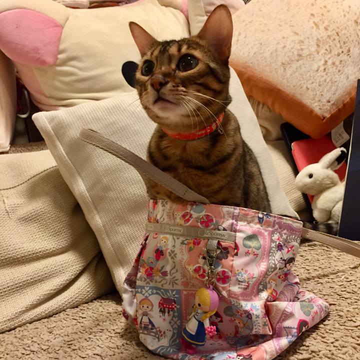 A32a86aa 2e96 467e 8d49 3bc387fda108 1536629652889