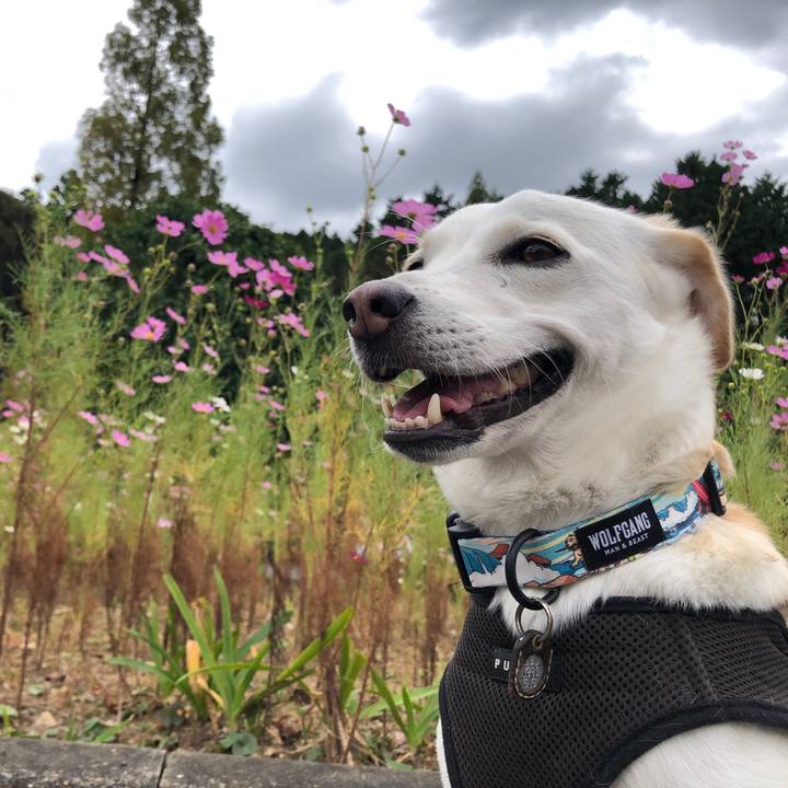 A32a8981 969e 40fe a529 8fca388f7fa1 1639311504470