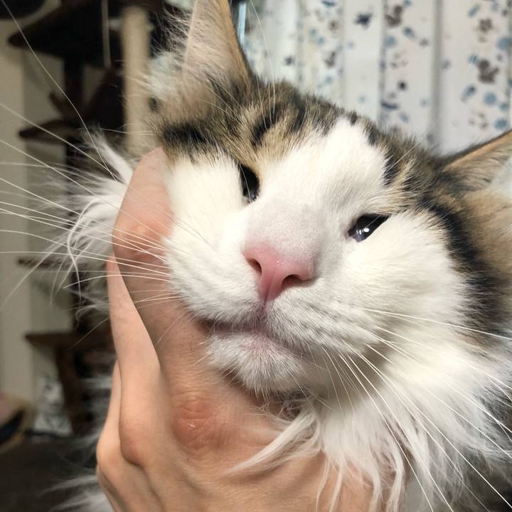 A32a8f9f 3678 4565 b135 615c0db56c44 1522641777393