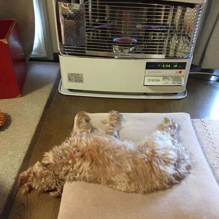 A32a936a 1b88 4993 811c b48a7a1f2686 1522883829681