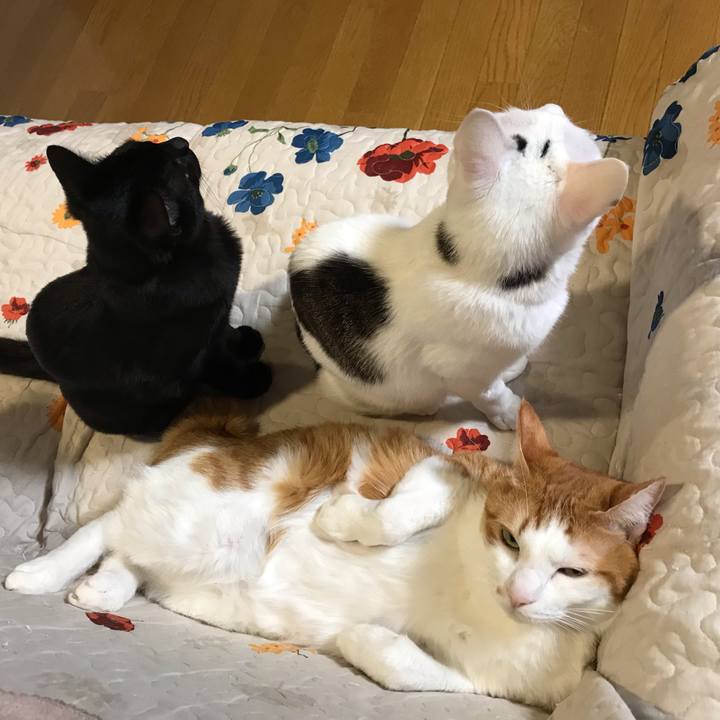 A32aa4ad afdd 4c56 91e9 6a65aa663cc5 1572081755141