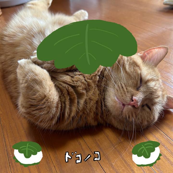 A32ab3b0 1fed 4683 aed3 a7922512cfbd 1749261997553