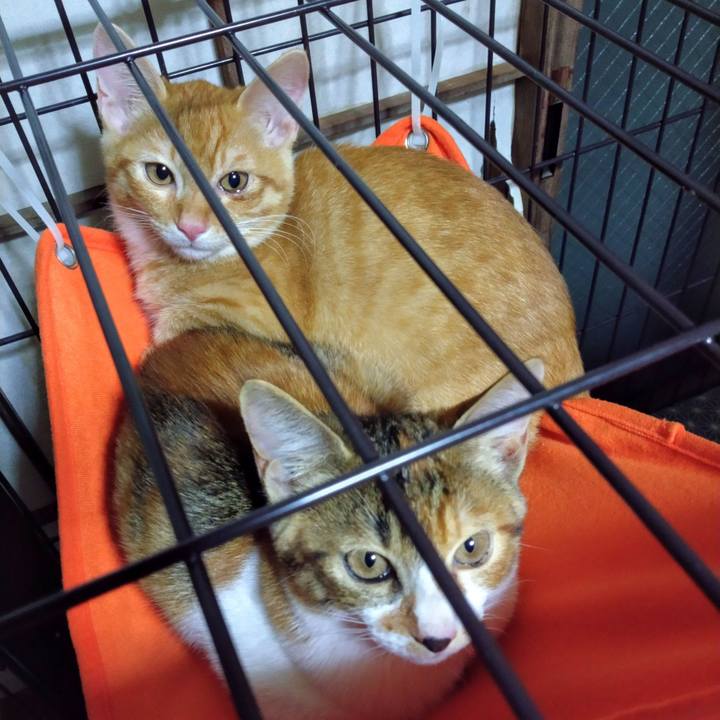 A32ac996 c939 40f0 92e5 01481aebb30d 1608612534249