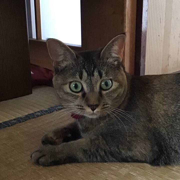 A32ad582 4a0c 4c0c 93a6 3ec118d49f39 1598340726827