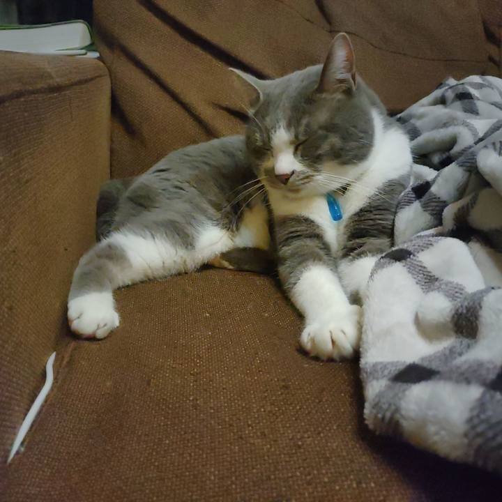 A32b3aa3 864a 483c 8348 c746869ca713 1679836736119