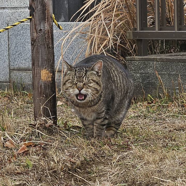 A32b814f 1745 4552 a98c 0b601bb536d2 1706851880363