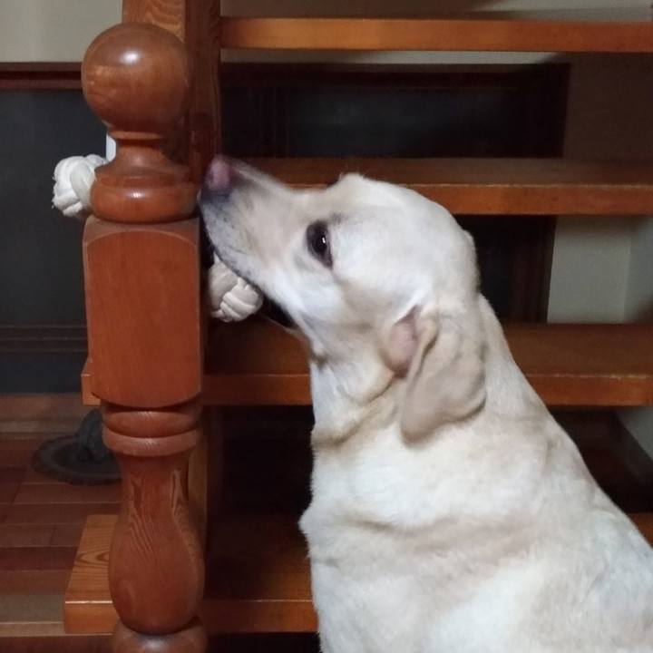 A32b87ee f2bb 441d 9b4c d96ad68fafdf 1537617401323