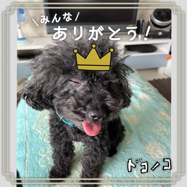 A32b9570 a61c 4773 90ae 2d0b63196d10 1622954300154