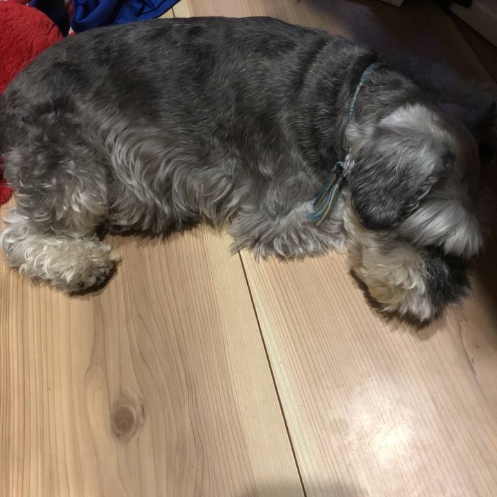 A32b9e52 3905 40da b30e c8a9c7cb2acd 1565787311802