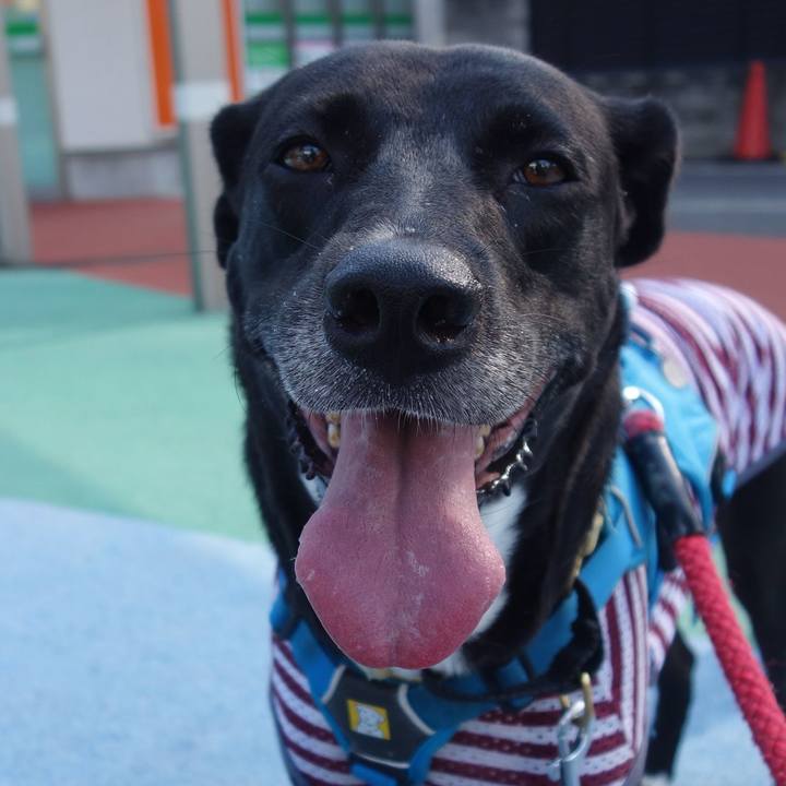 A32ba50b c4fb 4386 884a 2b70b82c2d3e 1626740092651