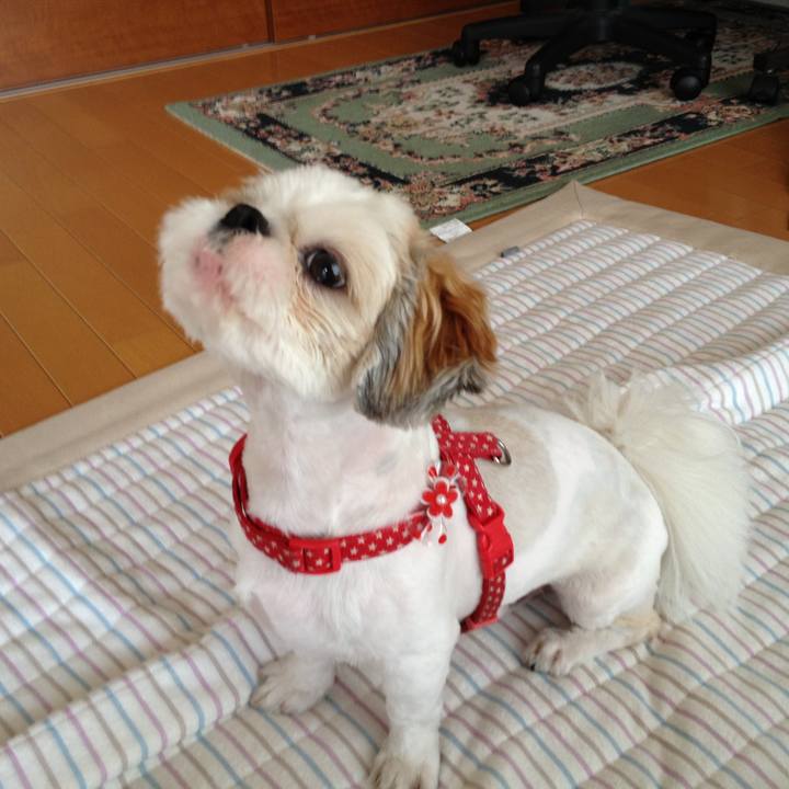 A32c11f5 b302 49bb 8094 eaeaade62240 1591307421995