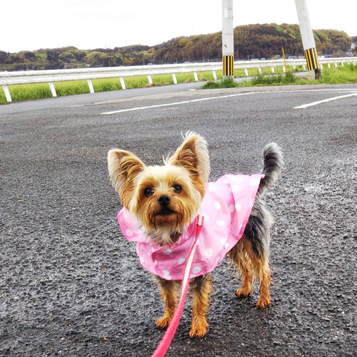 A32c1aae c84c 4c5d 8f39 2b37db050bf9 1618222568358