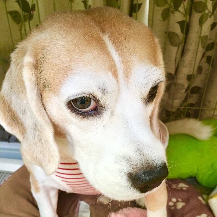 A32c1c73 16cb 43bb a336 076b9c4a04e7 1761041672208