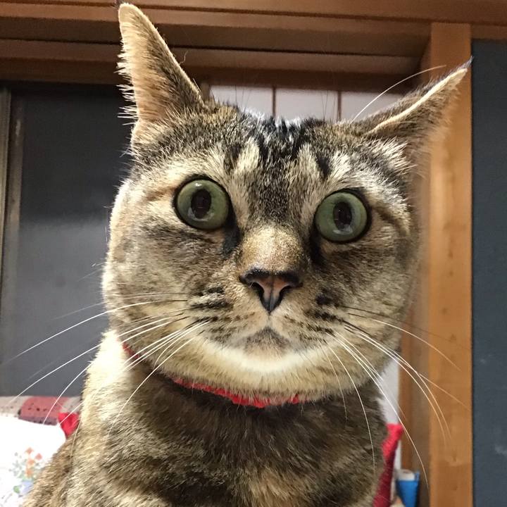 A32c1fa6 8836 46be 9f78 877d17a42a36 1683979293036