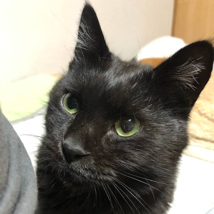 A32c2a79 9585 49df af03 e2338c9e4dbe 1601982704722