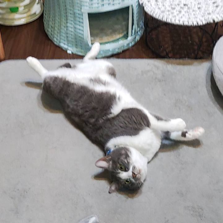 A32c4873 4608 4d2c 8b99 752e83c67457 1711886079133