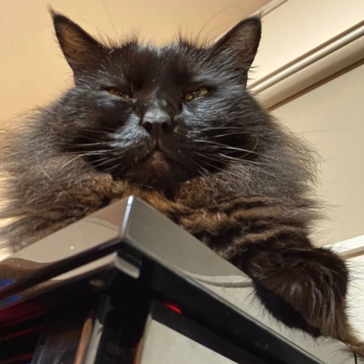 A32c5845 ace6 4d76 ac4d ba57e7df9ce1 1579974182449