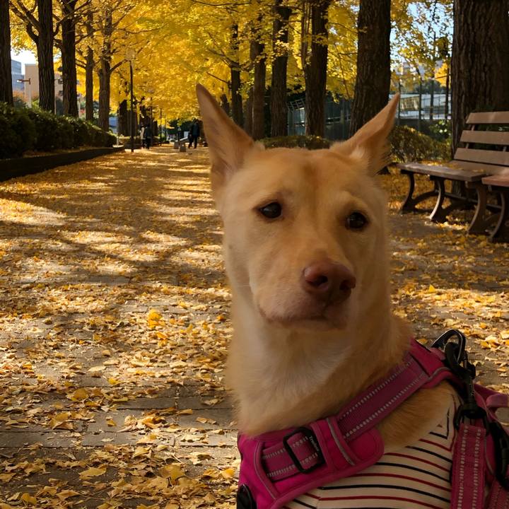 A32c6420 f733 4d0e bb46 faf0ed681618 1700625467975