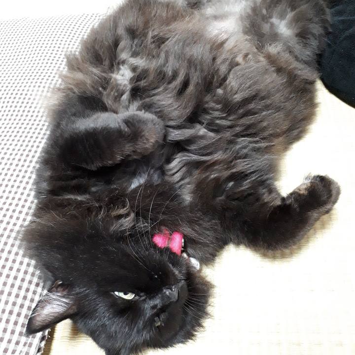 A32c80be 6081 4721 9eba 9ce1a8d24478 1534797370733