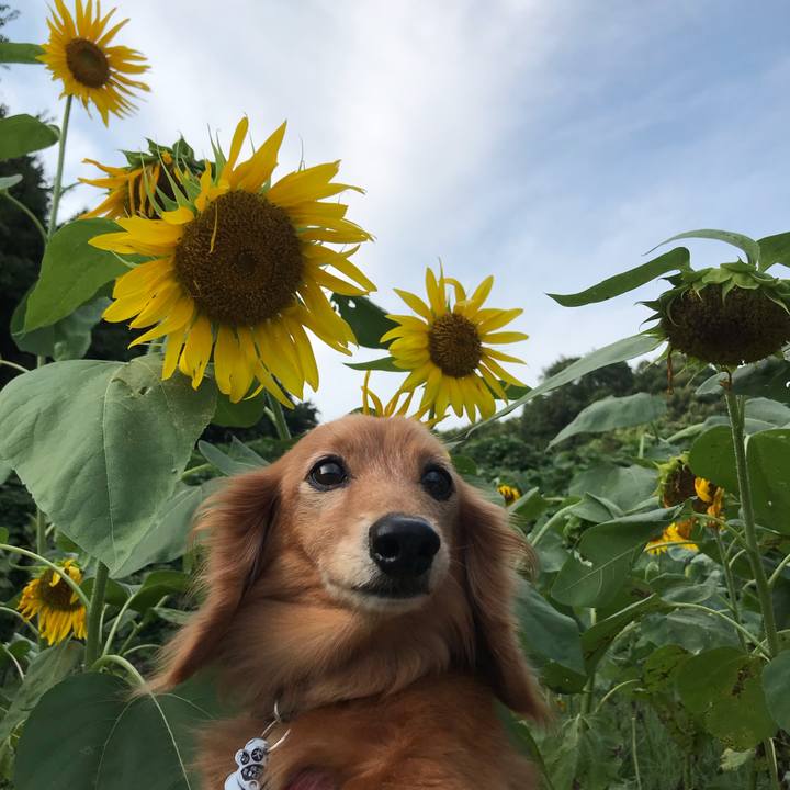 A32ca9a4 053d 4901 81c2 363e81c9f89f 1566632887324