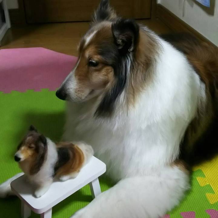 A32d131e 4bfe 44be 85aa f21941c13020 1534331093207