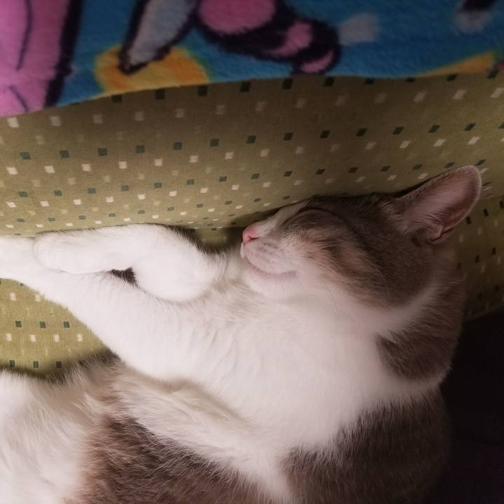 A32d2a37 7736 4853 b584 55d1407a6c7d 1512743477231