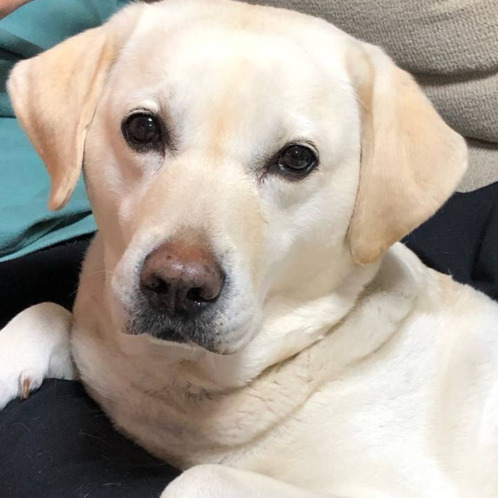 A32d2fd7 30b8 4706 8dc5 440d9f0c0c96 1648648829953