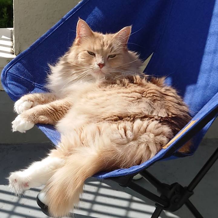 A32d88e9 6f4d 4ffb aaed a49b04bd1abf 1603248702071