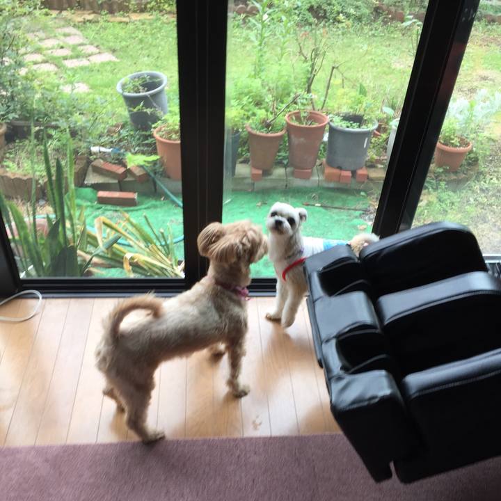 A32d8ae7 e7ab 4b49 92bc 000d39aea9f7 1529143672716