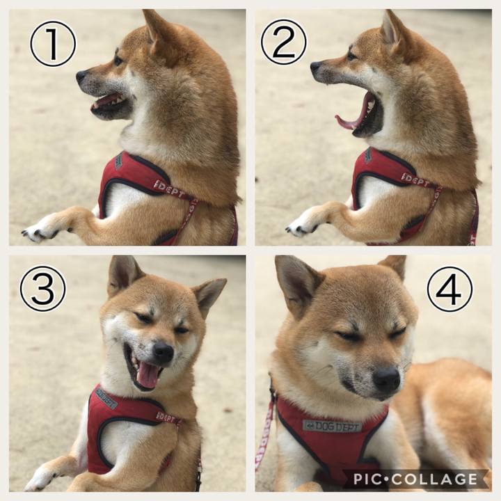 A32d9f83 4823 4512 9999 f2806365ceb5 1530489916530