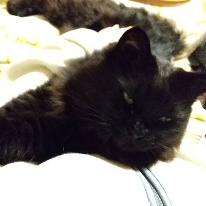 A32dba89 cb04 4682 a566 c5012dd2f606 1582026580168