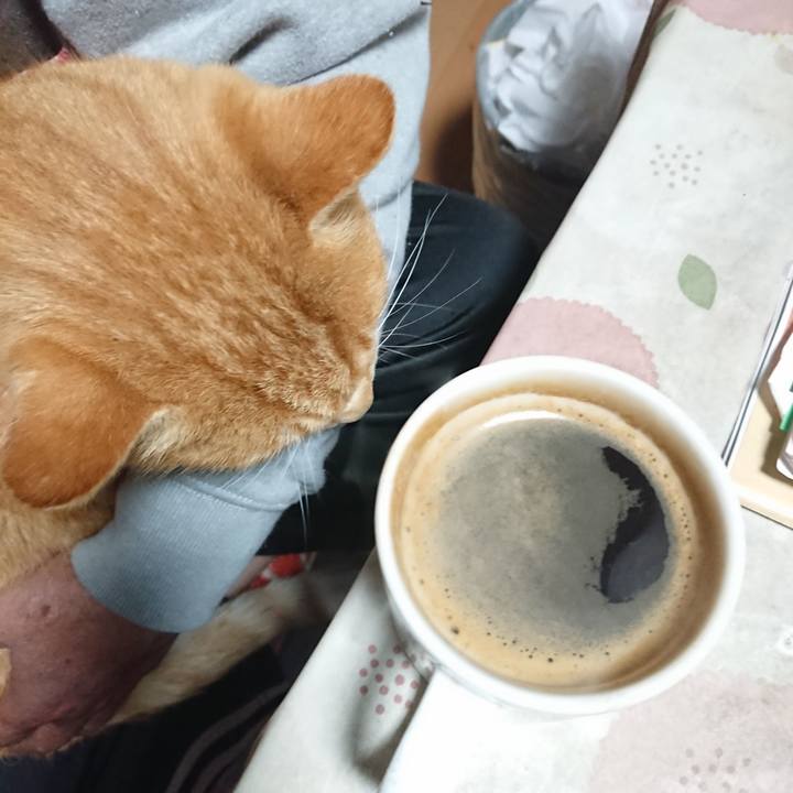 A32dc26e 2f31 4d94 b87e ddd61098123a 1606333822175