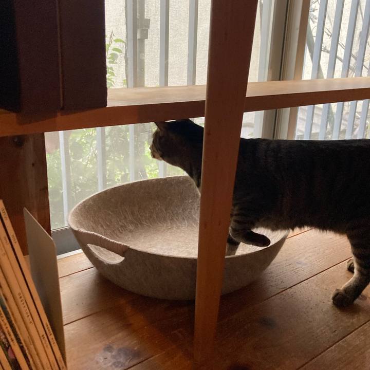 A32dda28 9376 44fc 90e7 456586917c38 1729903821737