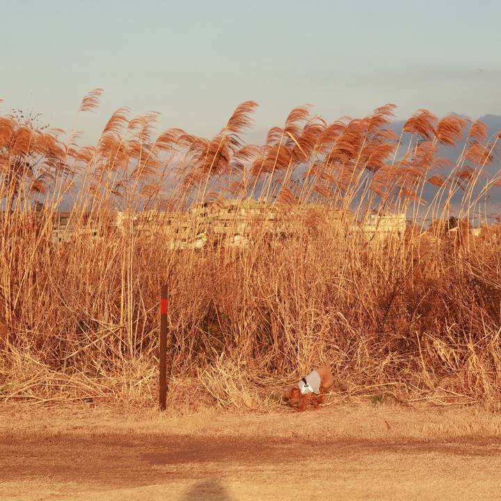 A32de7b1 8909 4294 925d b2b1149180d2 1612358133945