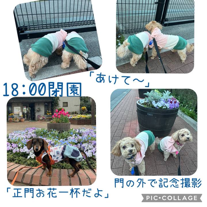 A32e05bb ccef 4054 a899 fba437ec4a0e 1743897747313