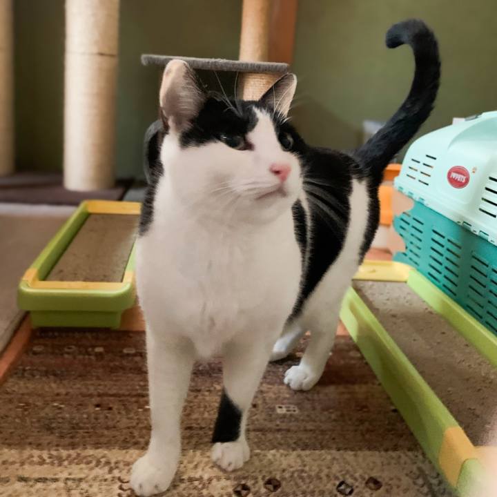 A32e22f6 2ac8 4eb1 93f4 0f66115ecd26 1579398467945