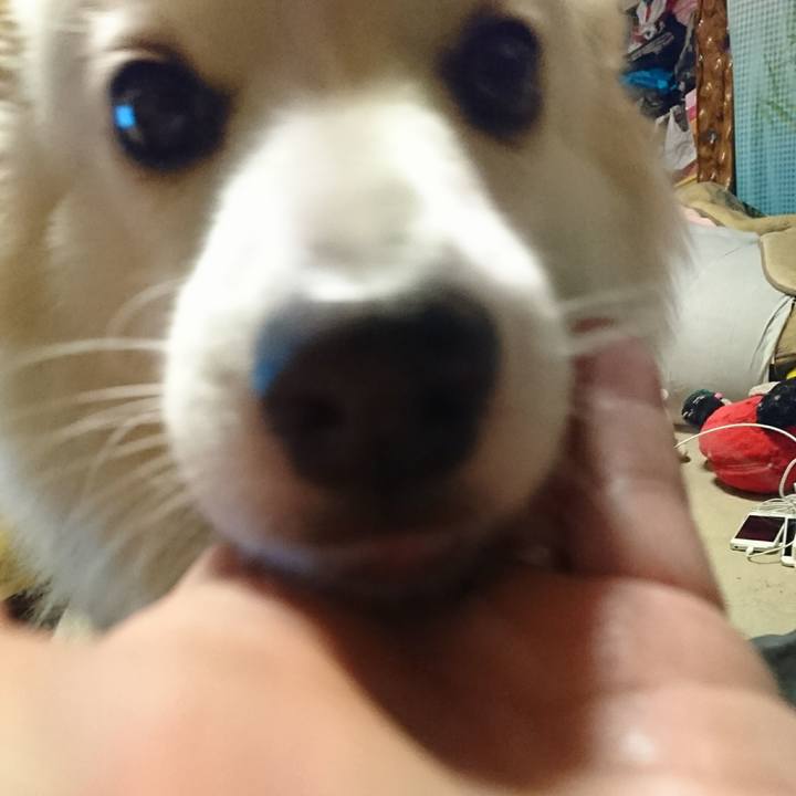 A32e2ae3 9fbb 4b2d b3de 78b76749a41a 1511782622379