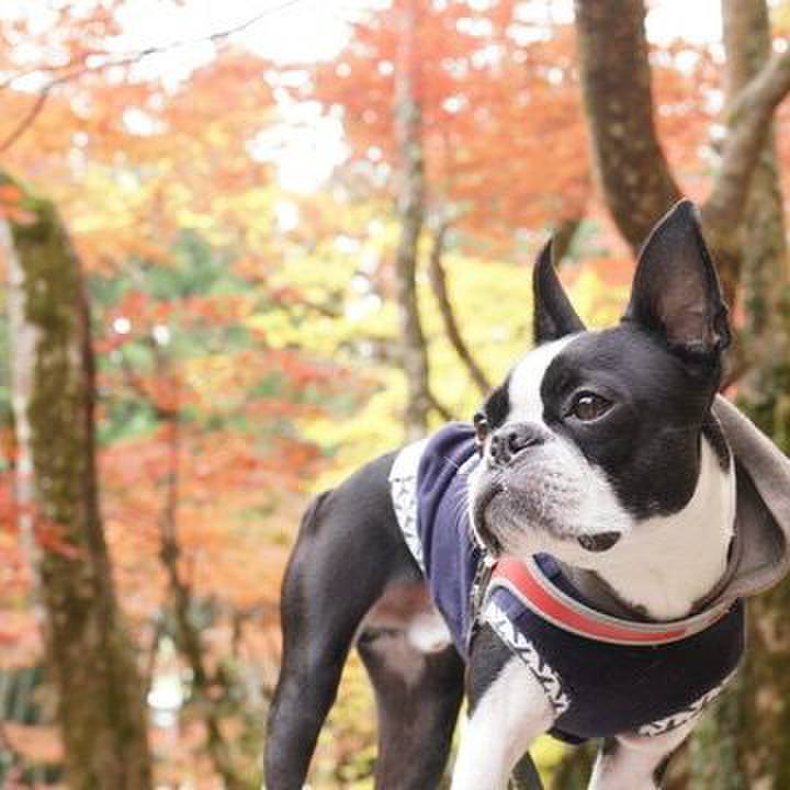 A32ea1ac 8f99 4de8 8e49 8a12ac4538d8 1574593281671