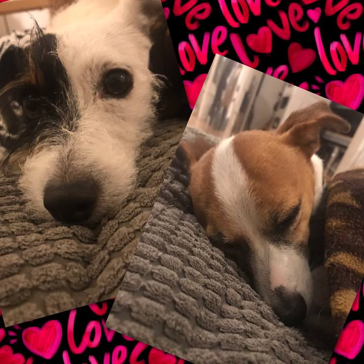 A32ede35 ad2b 4f7f afb4 e5817dab0c24 1541078269494