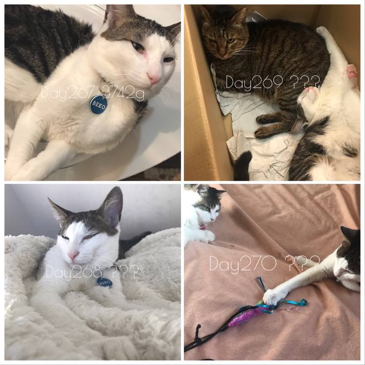 A32efcc1 6ecd 41b4 b7f6 9328051386b5 1523793171994