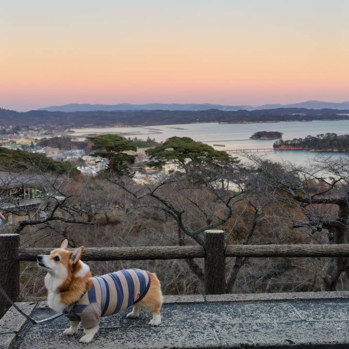 A32f01e3 20ce 4fd7 be31 43e4e504cdee 1764414483047