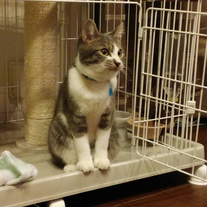 A32f084c 5db9 4a91 9990 e5973e926f29 1573559516263