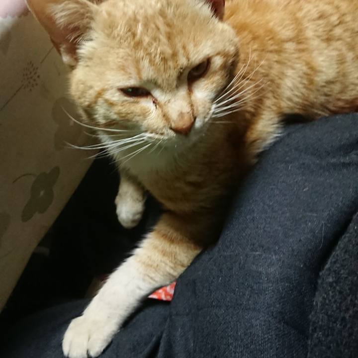 A32f131c 6c51 42f2 aaf1 ccdcde9af0a7 1554975317940